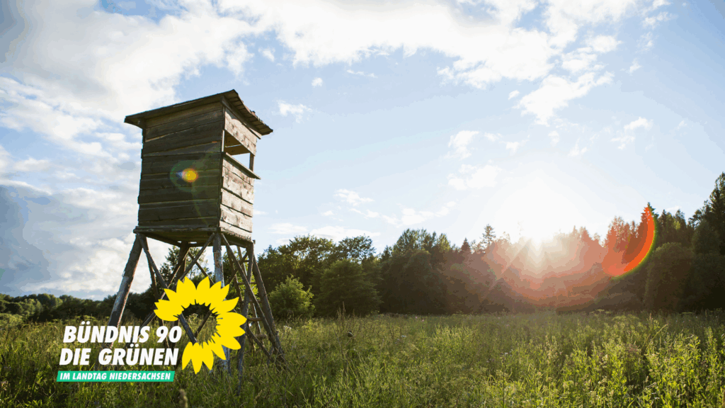 Hochsitz am Waldrand im Gegenlicht der Sonne, leicht bewölkter Himmel